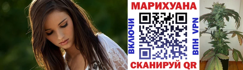 Каннабис ГИДРОПОН  Купить где  Монино 